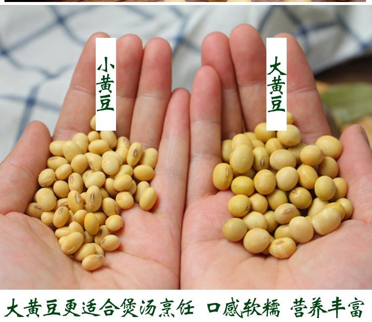农家自种特煲汤炖猪蹄大黄豆大粒老品种椭圆大豆非转基因450g2