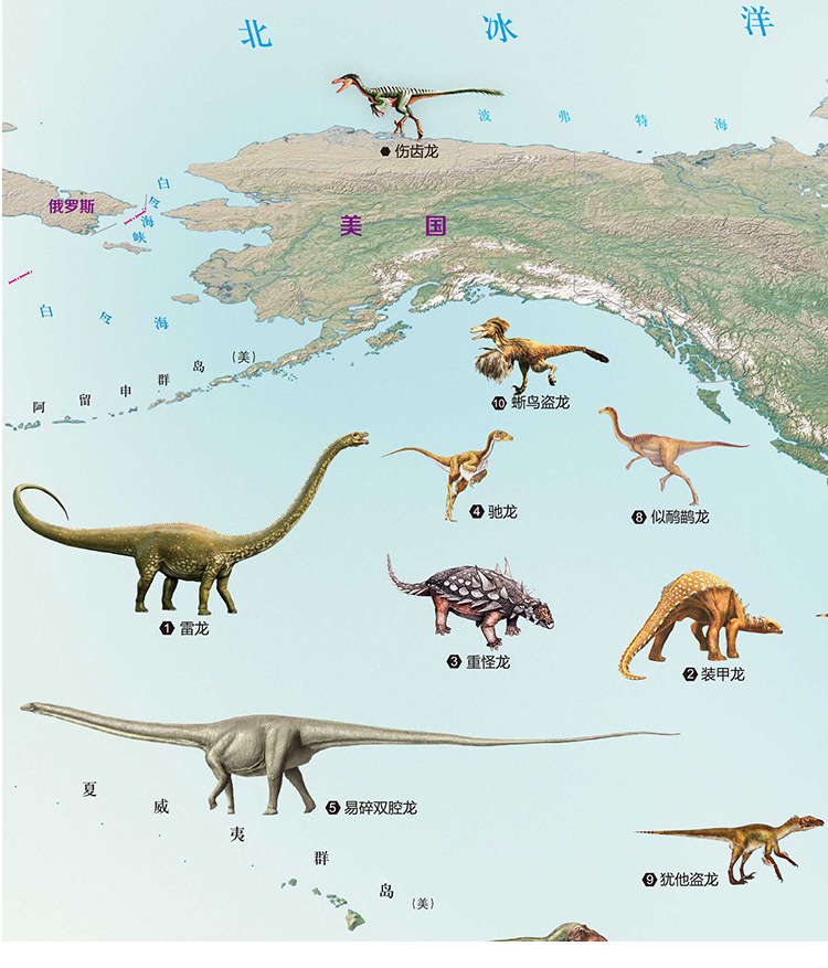恐龙的种类分类大全幼少儿恐龙知识大百科图书资料参考恐龙灭绝时代