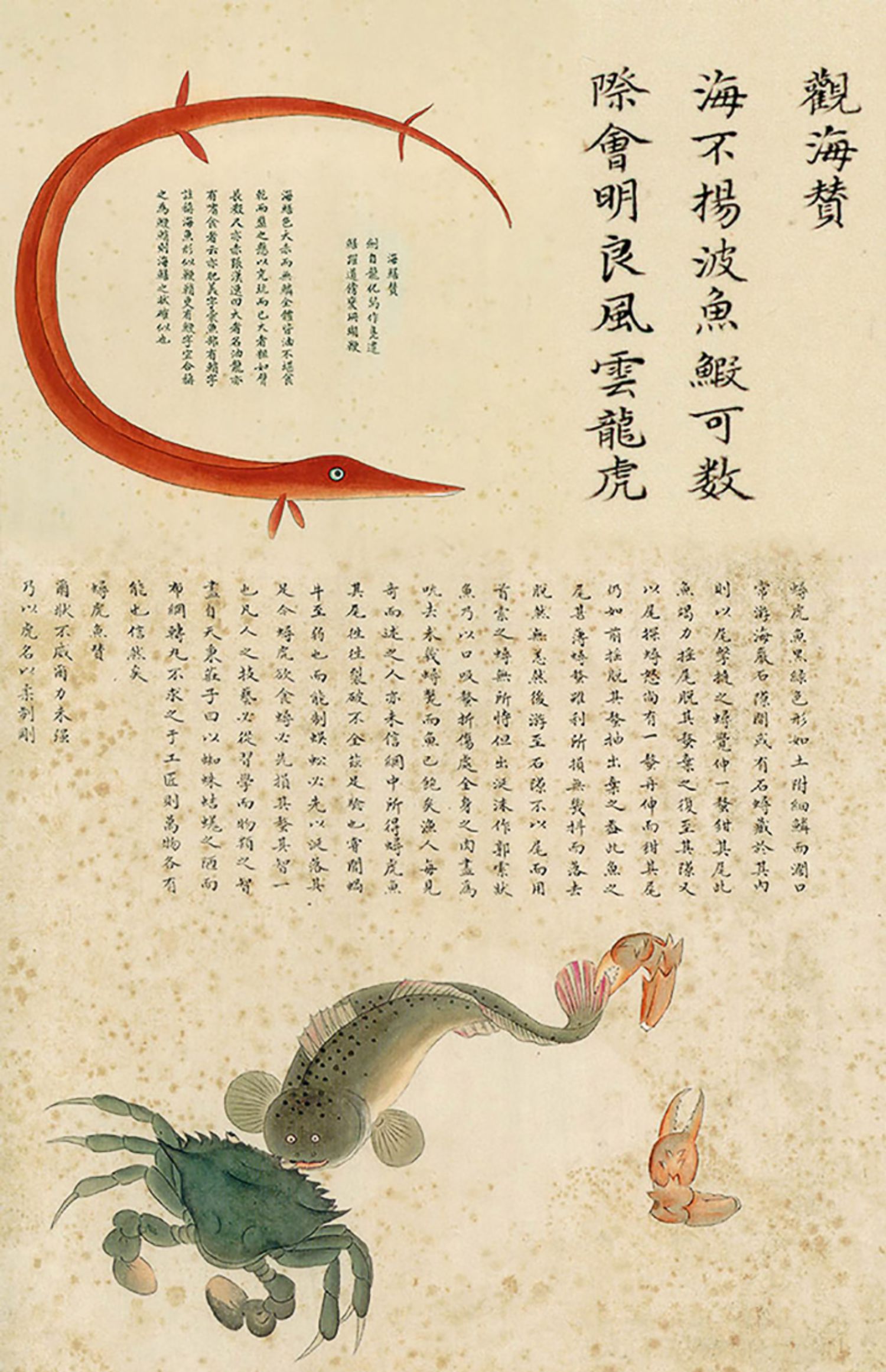 张辰亮 解读故宫藏品《海错图》中的生物密码 博物君 出版社图书 正版