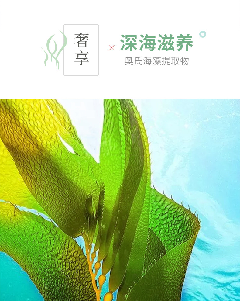 网红同款肤姿美海藻凝胶绿眼膜片黑眼圈眼袋细纹紧致网红
