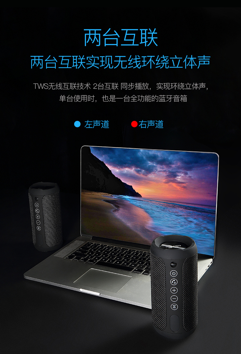 雷登x10 蓝牙音箱3d环绕重低音炮双喇叭大音量无线手机户外防水小音响