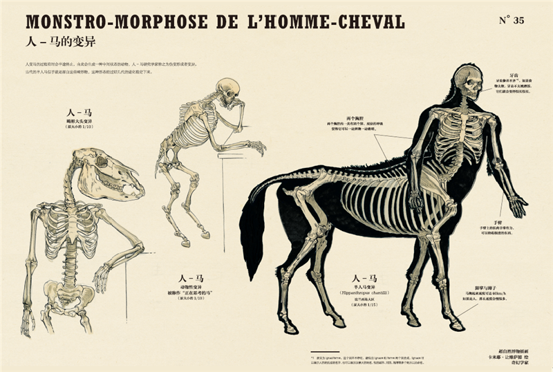 超自然变形动物图鉴 大幅手绘解剖图诠释变形之美 博物学家的神秘动物
