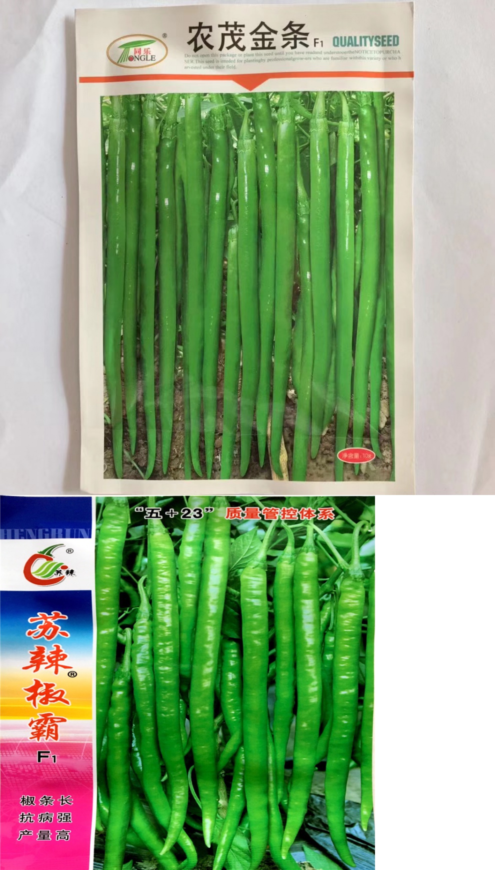 超长香辣线椒种子春秋季高产早熟种籽阳台四季种孑辣椒种蔬菜种子