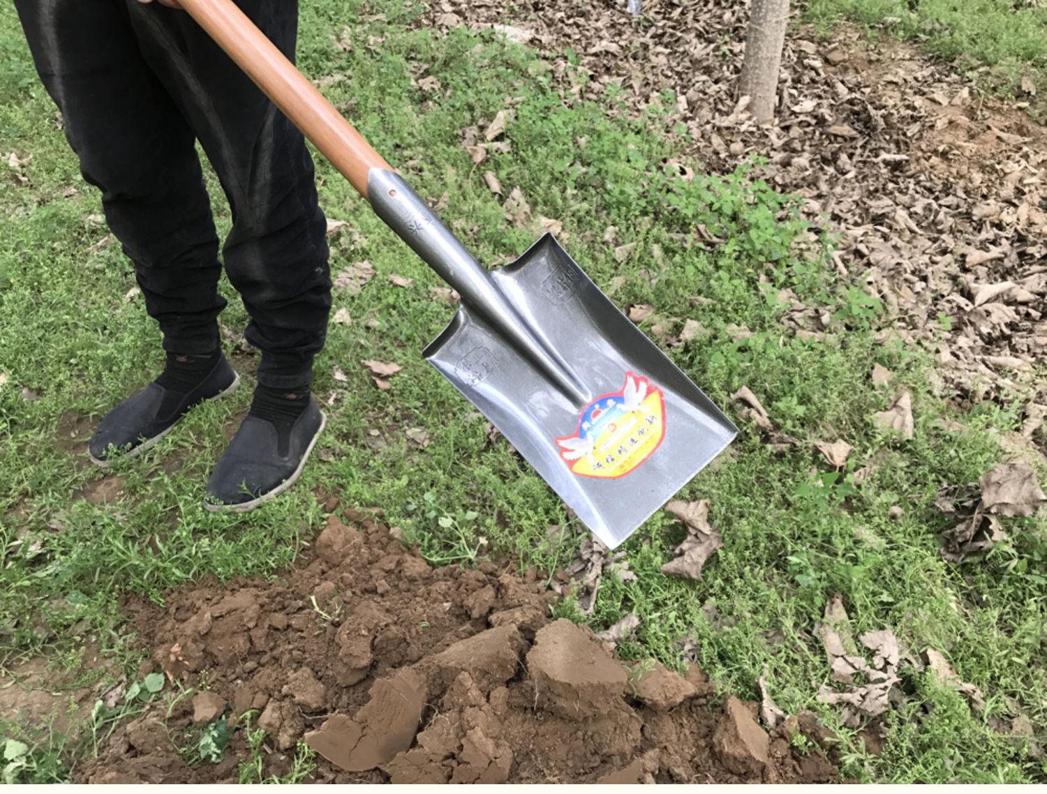 御蓝锦农用铁锹小号窄口挖土沟加厚园林艺钢铲挖电缆电线杆坑挖山药