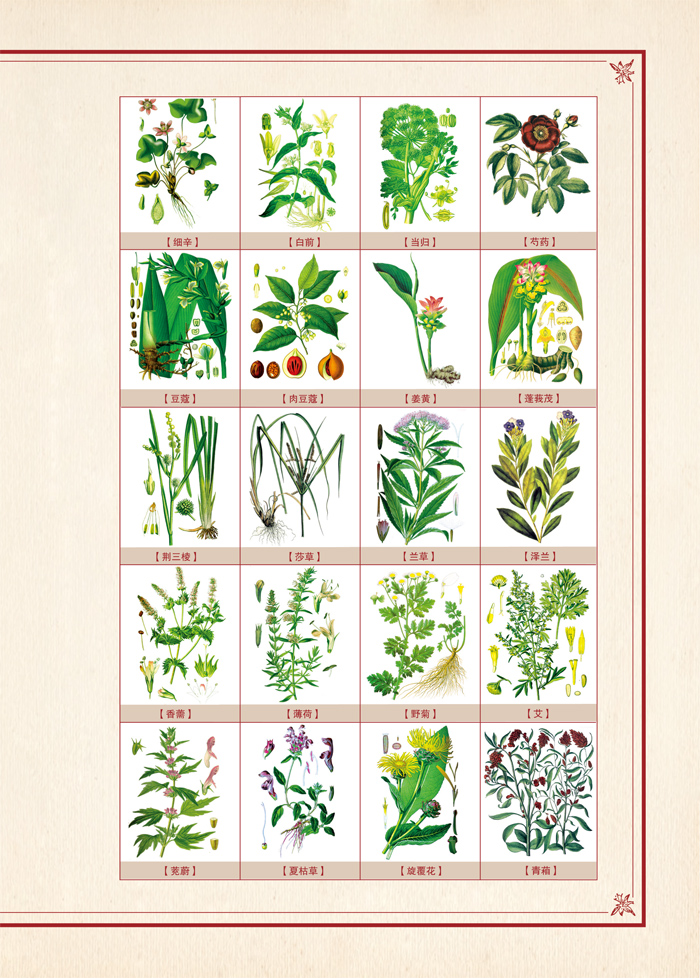 精装全彩图解本草纲目白话文全套正版中医彩图中药学书与黄帝内经同为