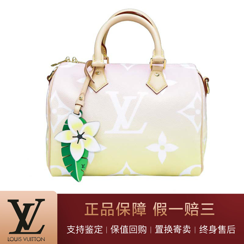 路易威登(louis vuitton)二手皮具箱包手提 【二手99新】lv路易威登