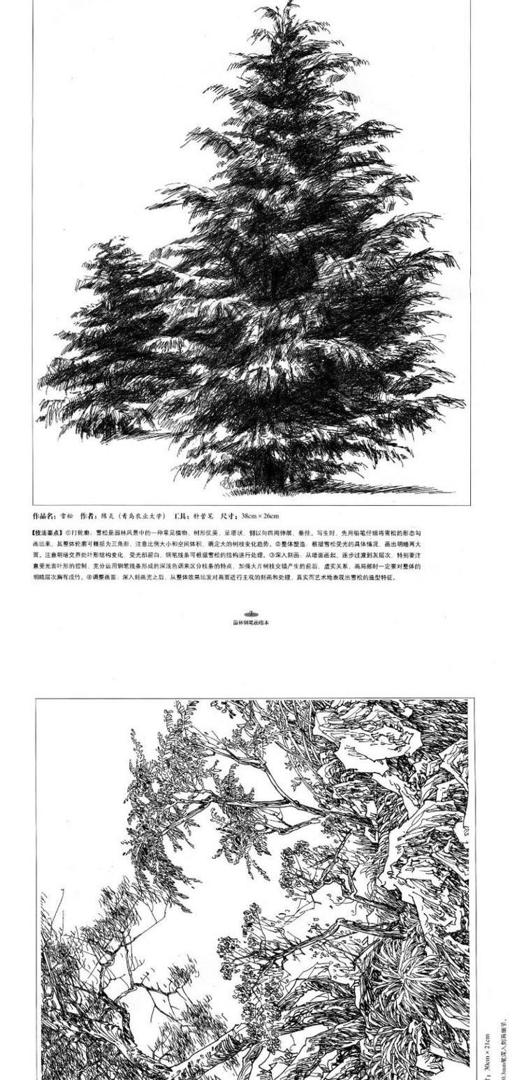 园林钢笔画临本5009宫晓滨教材绘画临摹技法中国林业出版社正版书