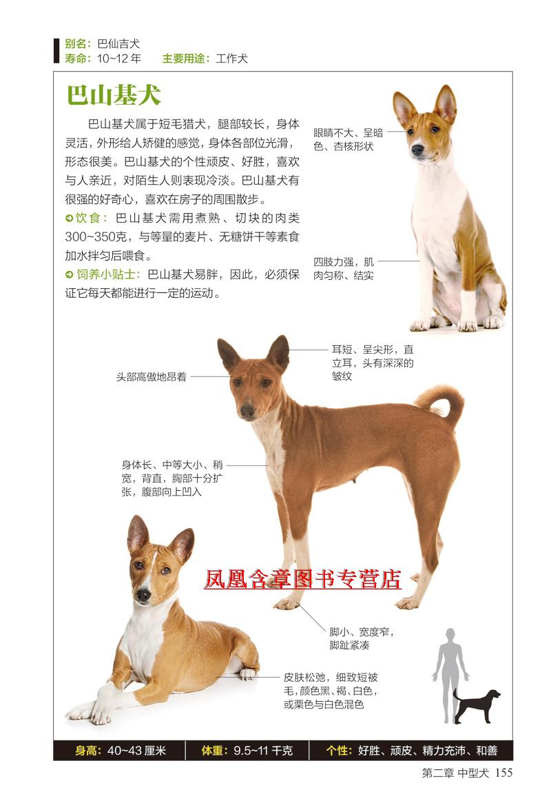 名犬图鉴 167种人气宠物犬"的特征与习性 331种名犬驯养与鉴赏 基本