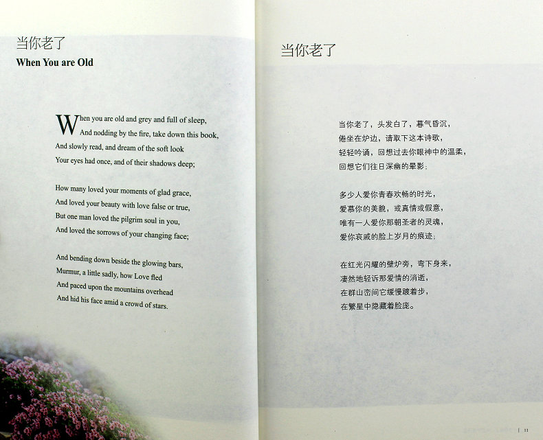 全新正版 当你老了 叶芝抒情诗选 英汉对译解读版 双语彩色版 西方