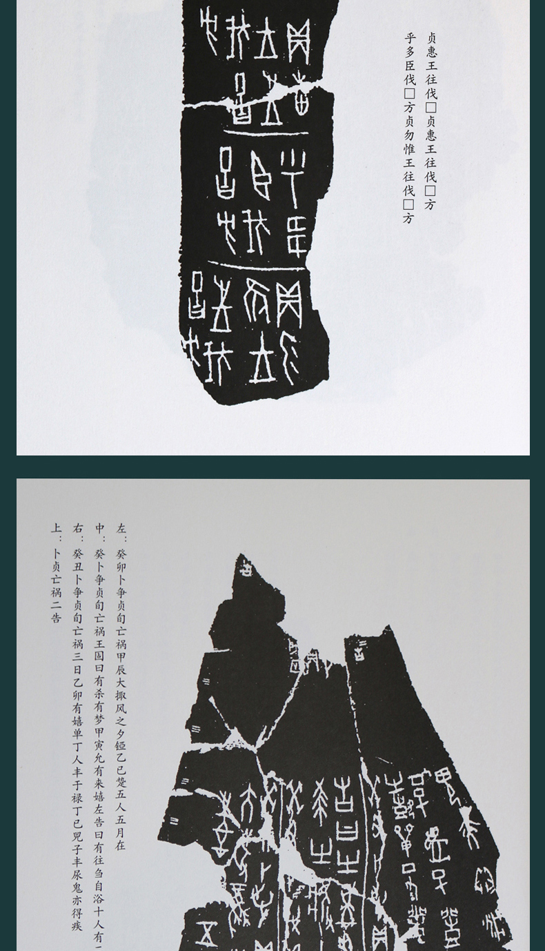 套装7册甲骨文金文甲骨文字典金文字典甲骨文书法学甲骨文字帖甲骨