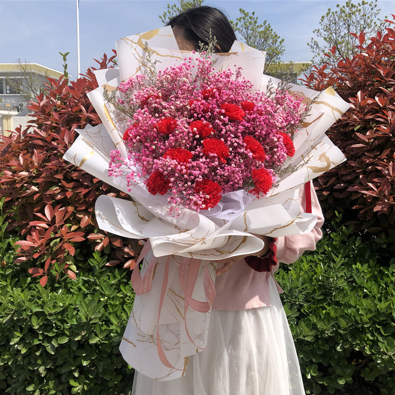 星干花花束生日毕业照送闺蜜女友情人节礼品花 fenghou 中大红 康乃馨