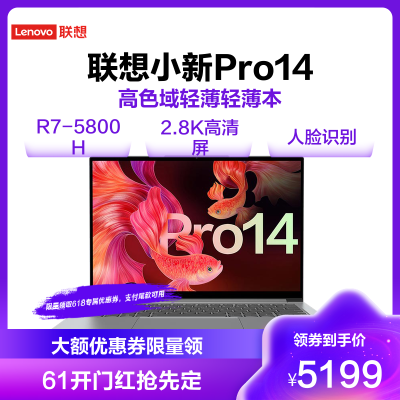 联想小新Pro14标压锐龙版14英寸全面屏轻薄本笔记本电脑(8核R7-5800H 16G 512G 2.8K 90Hz 低蓝光 护眼)银