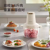 九阳绞肉机家用全自动多功能料理机小型电动搅拌料理机官方新款S22-LA355