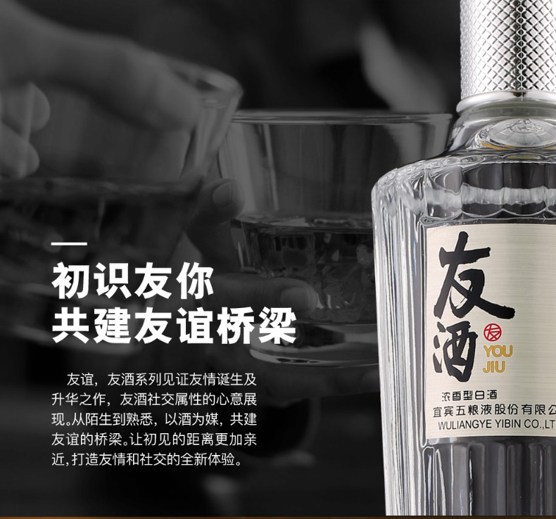 官方自营友酒友谊42度500ml6瓶整箱装浓香型白酒宜宾五粮液股份有限