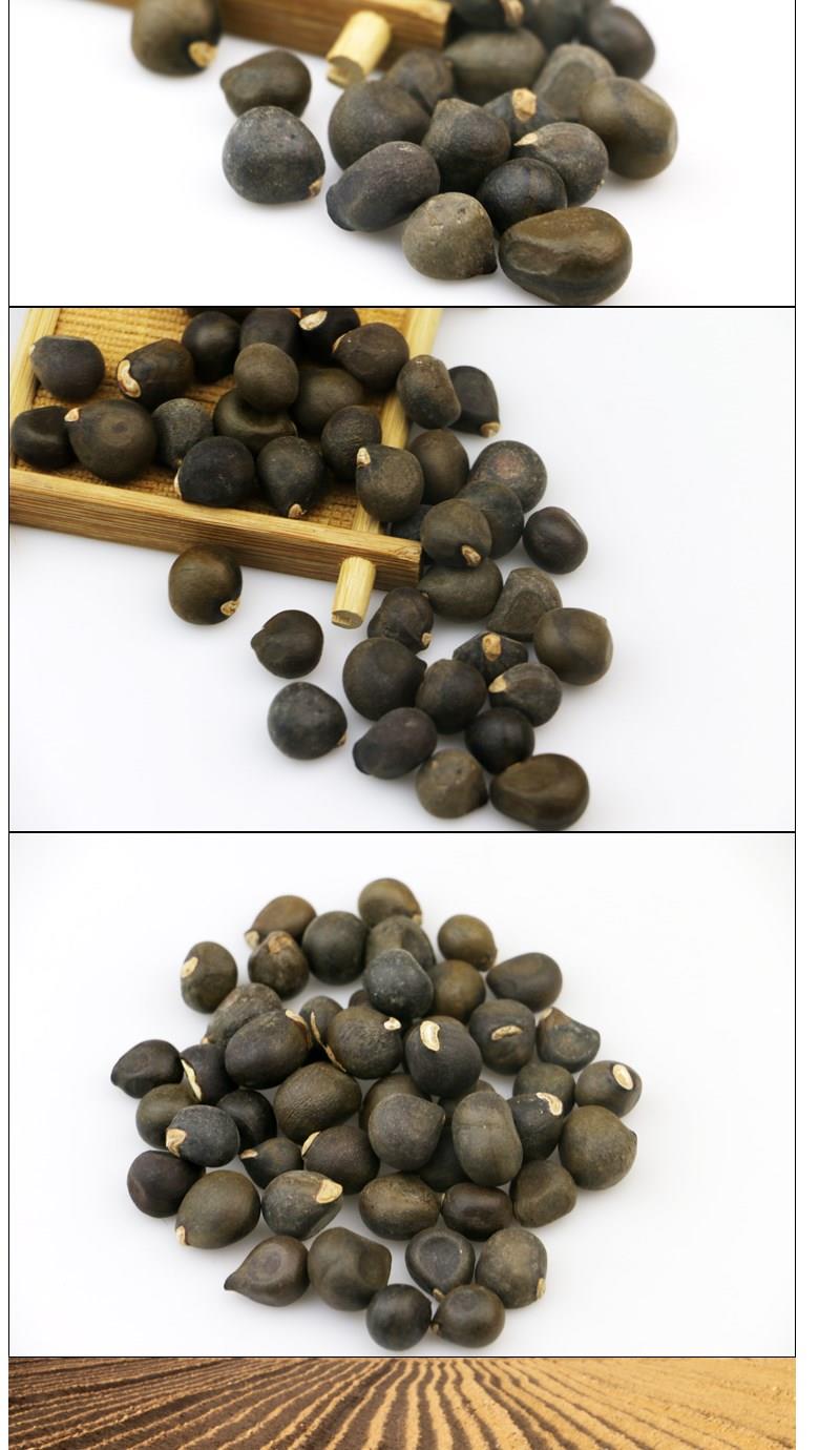 文冠种子新采文冠果种子林木种子文冠果树种子文冠子量大优惠