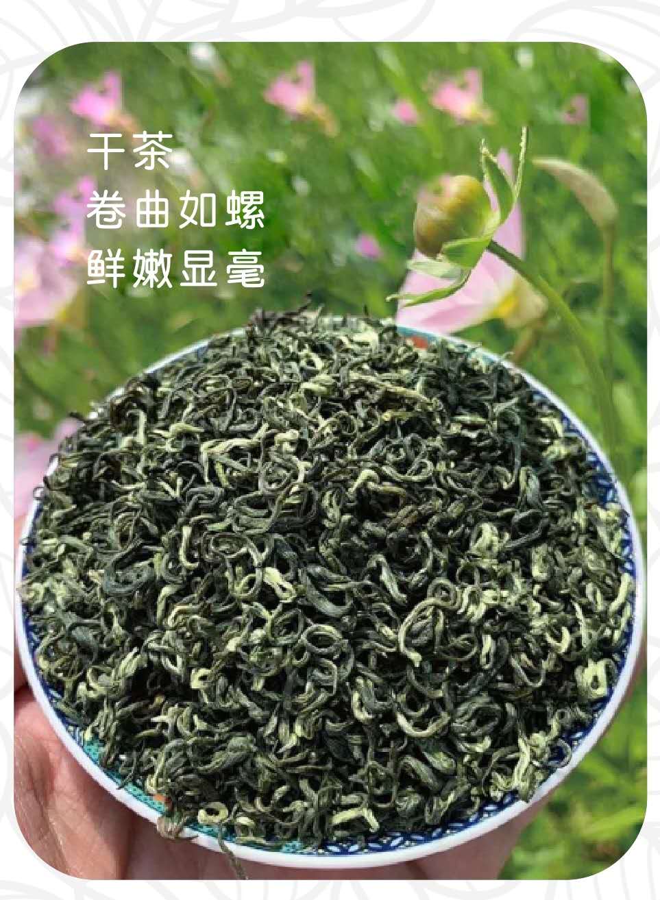 蒙頂甘露茶葉50g袋