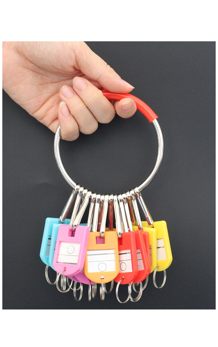 聚范钥匙圈环锁匙收纳圆盘带标记牌可分类防丢写字简约大钥匙串手环扣