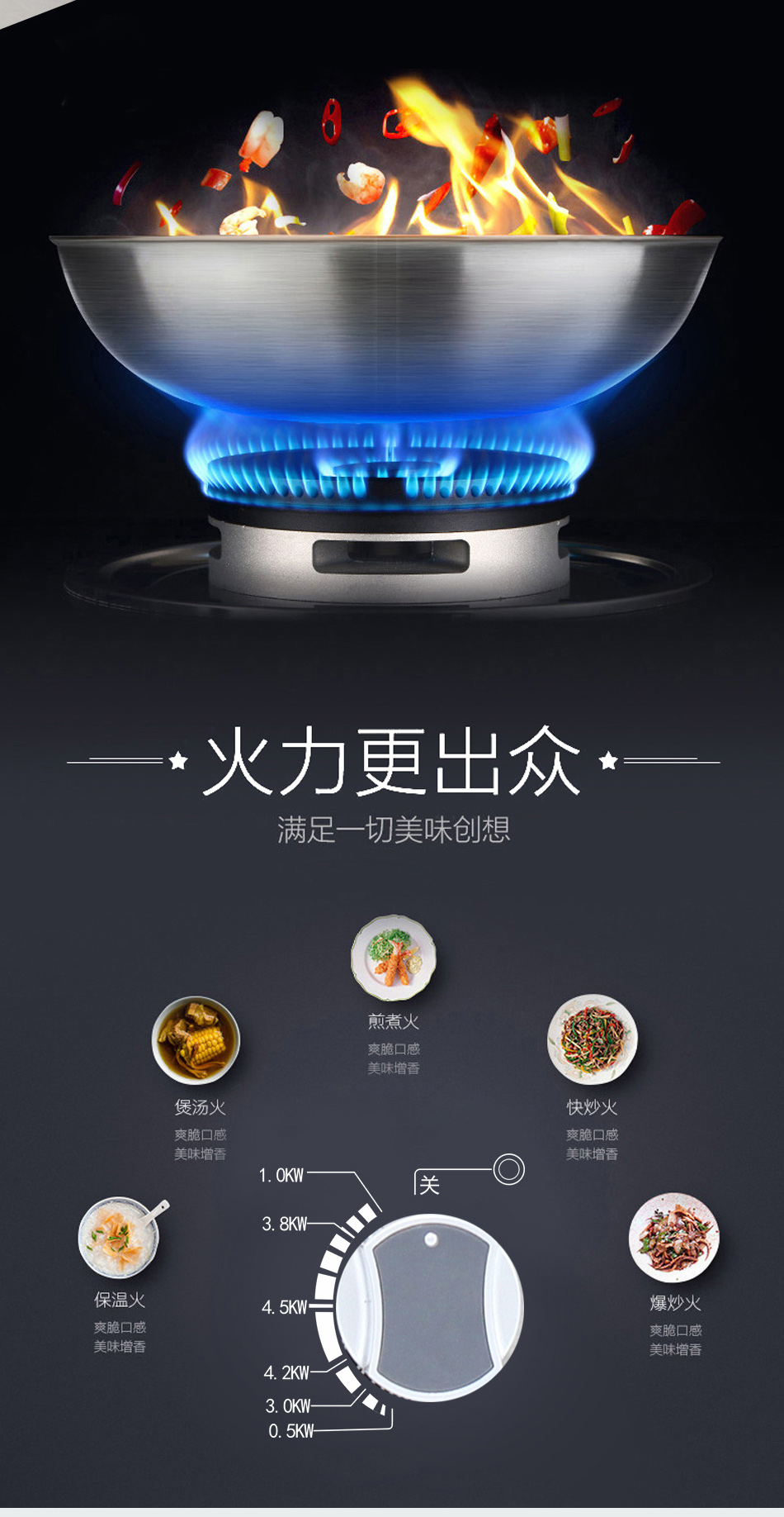 百吉燃气灶es0601燃气灶天然气双眼灶4.