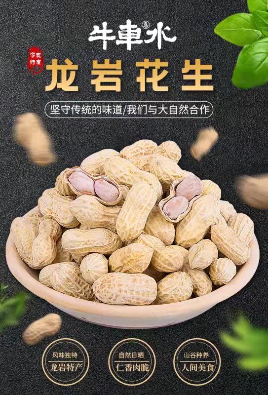 福建特产牛车水龙岩花生500g3袋组合蒜香咸酥花生休闲年货零食送数据