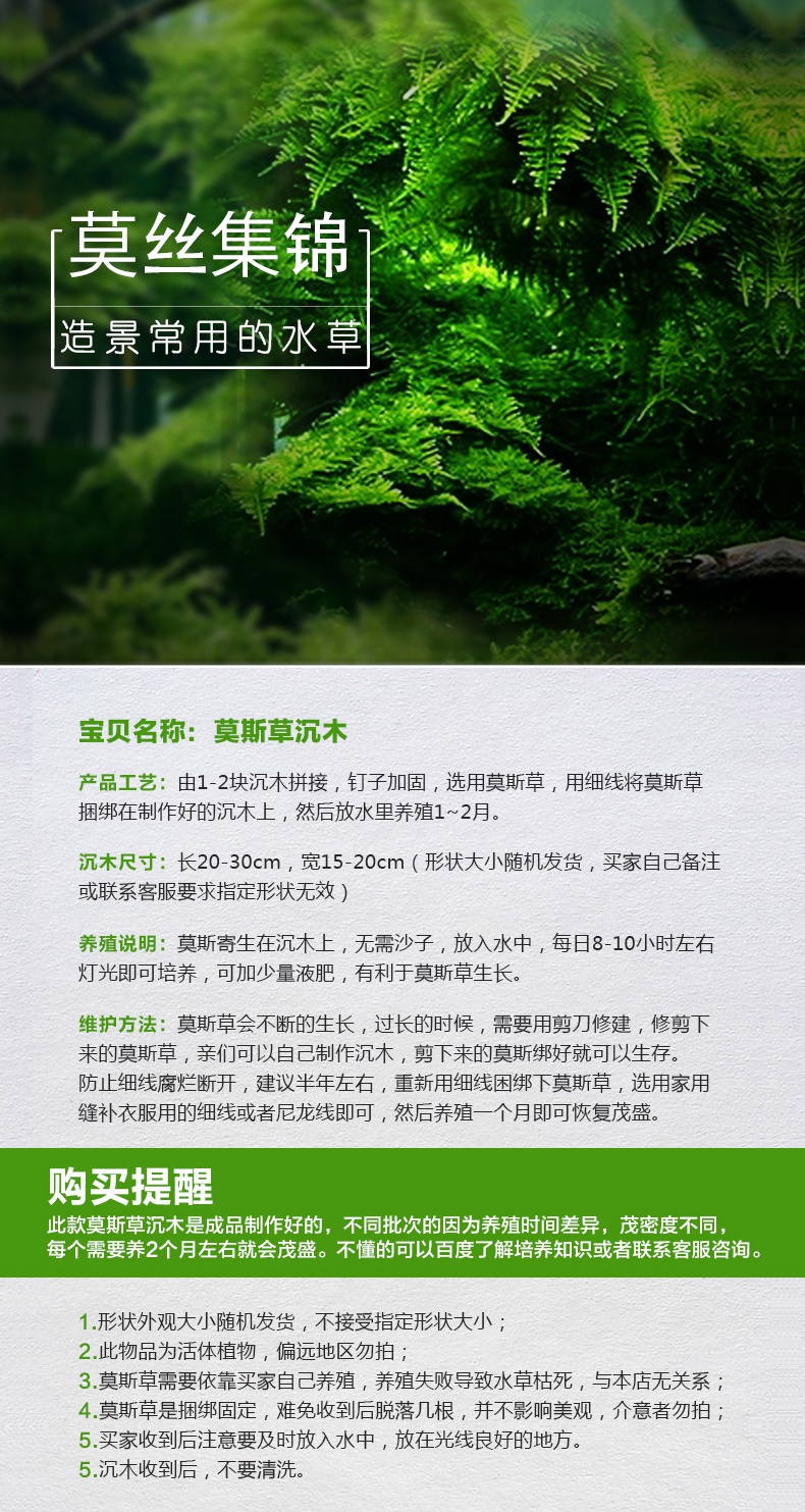 茉写宠物日用沉木头造景木沉木莫斯树根莫斯摩丝苔藓造景鱼缸装饰水造景 价格图片品牌报价 苏宁易购玖信宠物用品专营店