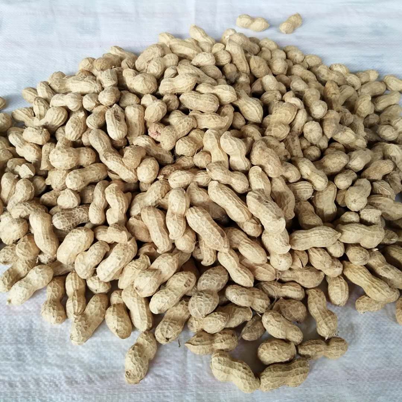 沙地花生米生新散装生花生粉红皮农家自种年新货榨油批发手剥新花生米