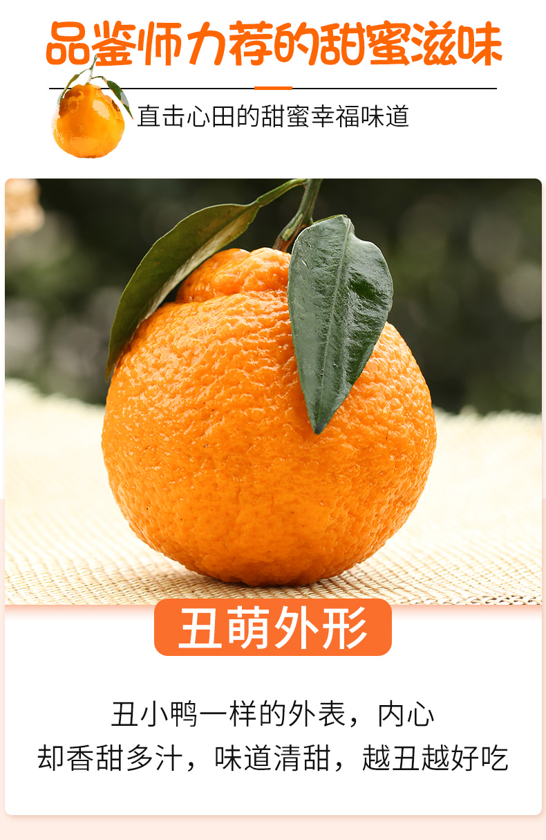 四川丑柑丑橘不知火当季时令水果新鲜丑橘柑橘皇后甜蜜多汁细嫩无渣