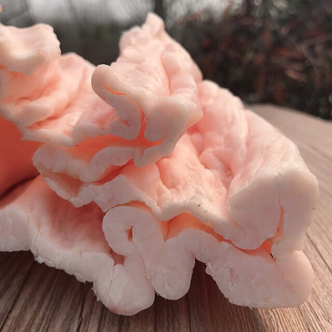 牛板油生牛油新鲜牛油现宰新鲜牛板油火锅底料熬油牛窝油牛油5斤