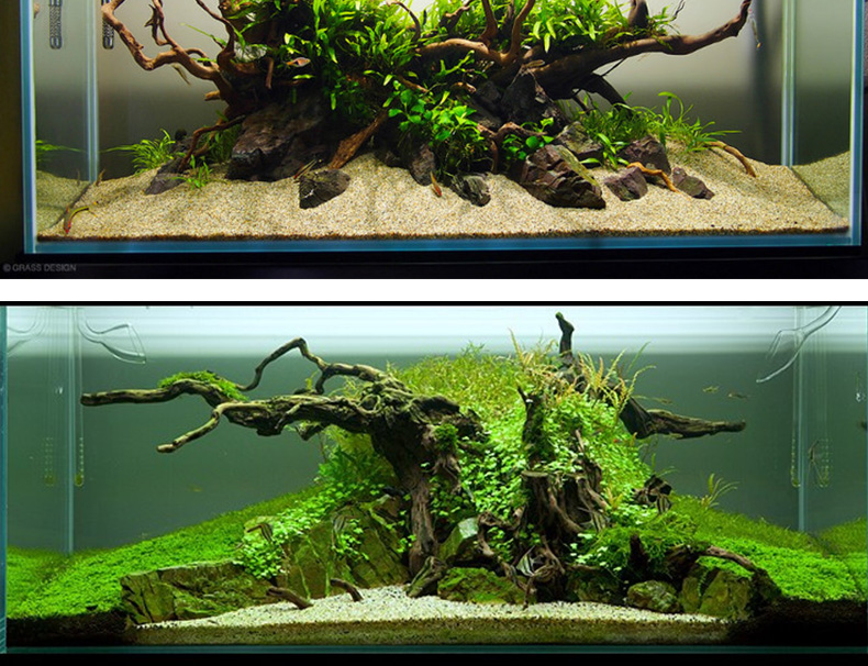 水鱼缸装饰河沙白沙化妆沙水造景鱼缸水底砂