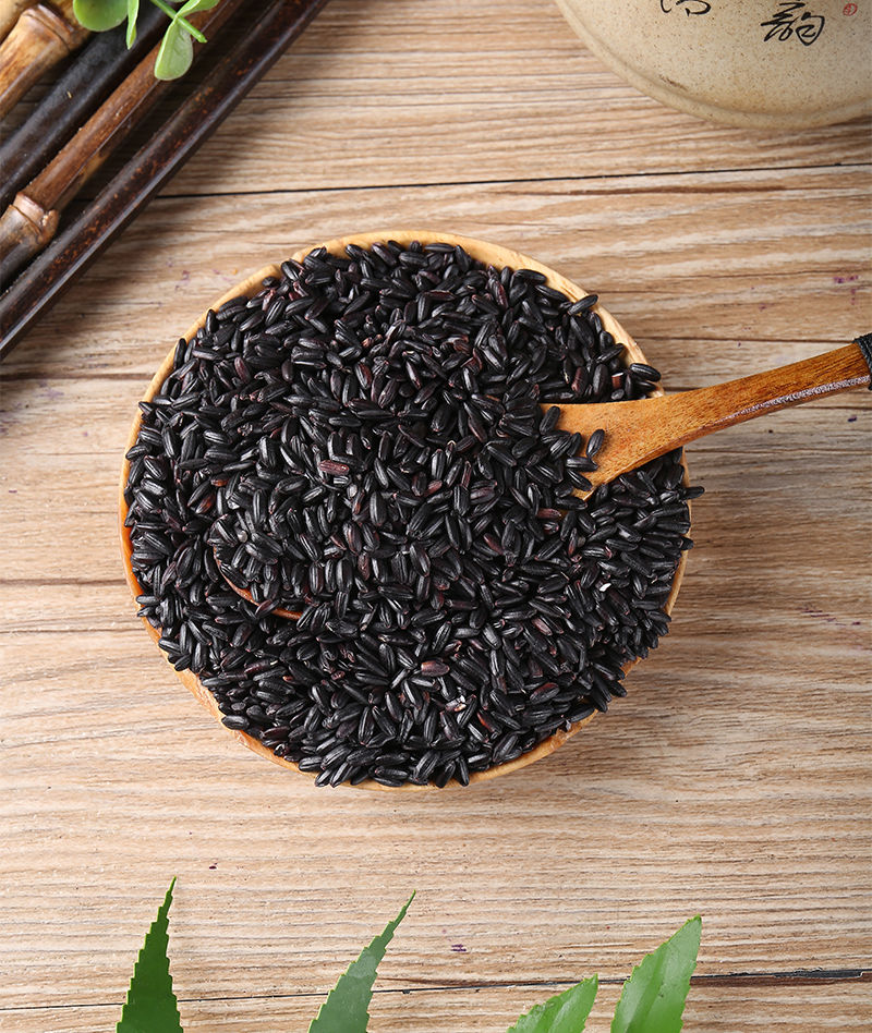 东北新黑米香米糙米五谷杂粮粗粮散装农家自产黑米粥 5斤黑米