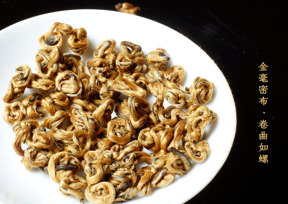 云南滇红金螺500g