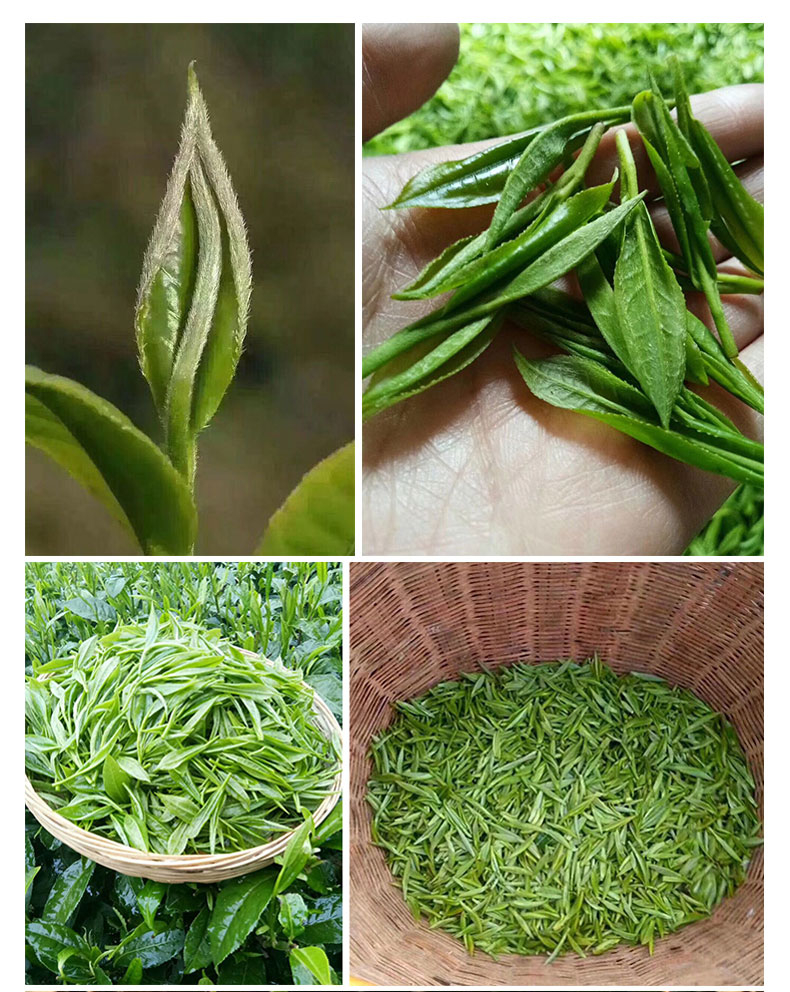 塔鼎红绿茶 塔鼎红常宁塔山高山茶商务绿茶250g简易装【价格 图片