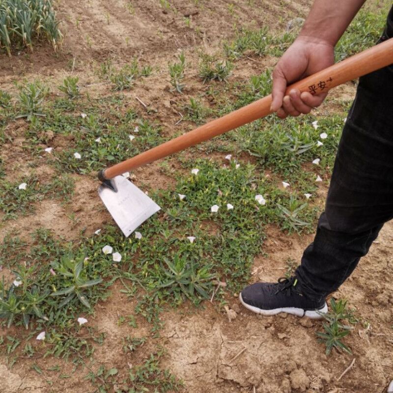 御蓝锦挖土除草锄头 家用扁锄 农具全钢加厚种菜开荒两用老式板锄小