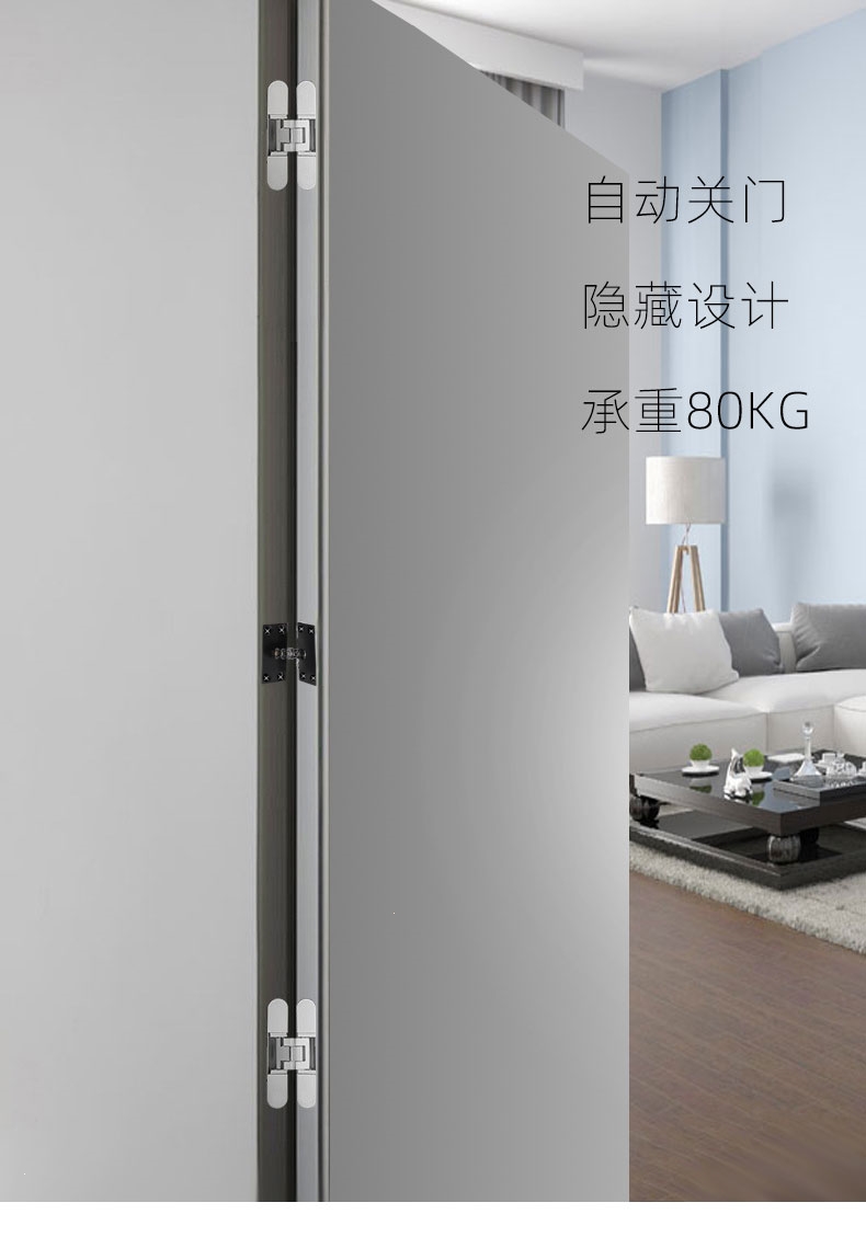 隐形门闭门器家用房门简易自动关门器理线家暗藏式轻型门弹簧合页闭合