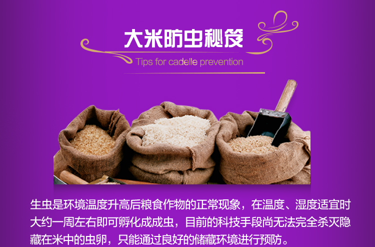 香纳兰纯正泰国香米5kg