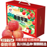 陕西延安洛川新品种秦脆苹果水果 20枚75mm 新鲜脆甜水果
