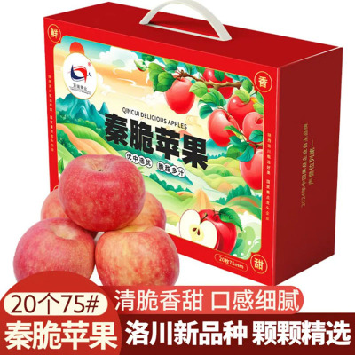陕西延安洛川新品种秦脆苹果水果 20枚75mm 新鲜脆甜水果