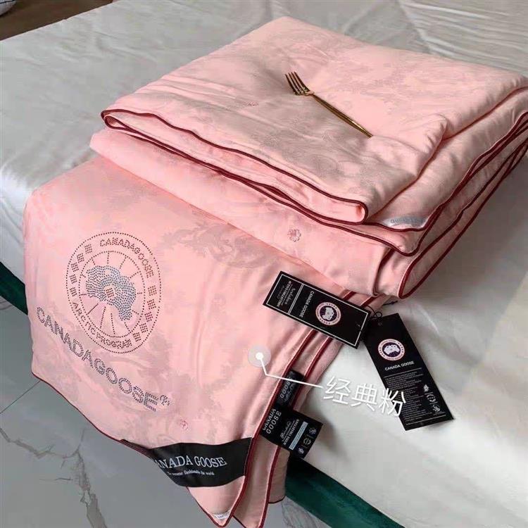 加拿大新款大鹅蚕丝被夏凉被4斤手工定位蚕丝被春秋被空调被天丝