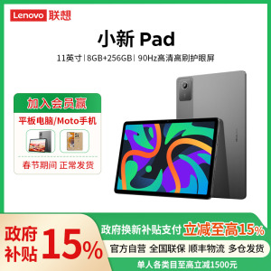 联想平板小新Pad 2024 11英寸 学习办公娱乐影音平板电脑 莱茵硬件级低蓝光 学习模式 90Hz高清高刷护眼屏 支持联想手写笔 8GB+256GB WIFI鸽子灰