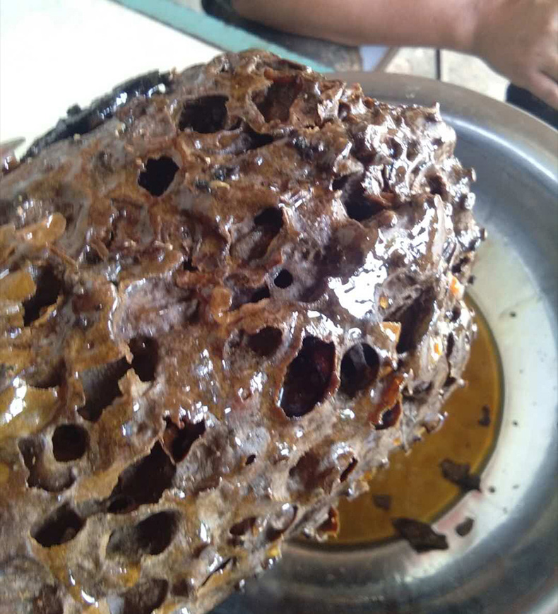 蚊子蜂蜜150g瓶滋补蜂蜜海南省黎母山产天然蚊子花蜜