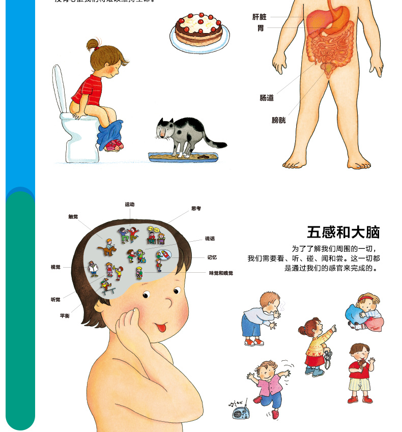 纸贵满堂翻翻书洞洞书我们的身体幼儿读物科学绘本故事幼儿百科全书