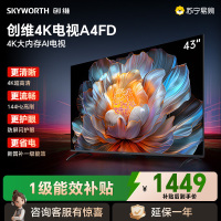 创维电视43A4FD 43英寸电视机 一级能效 液晶游戏智能高清 防蓝光护眼平板全面屏 A4F升级款