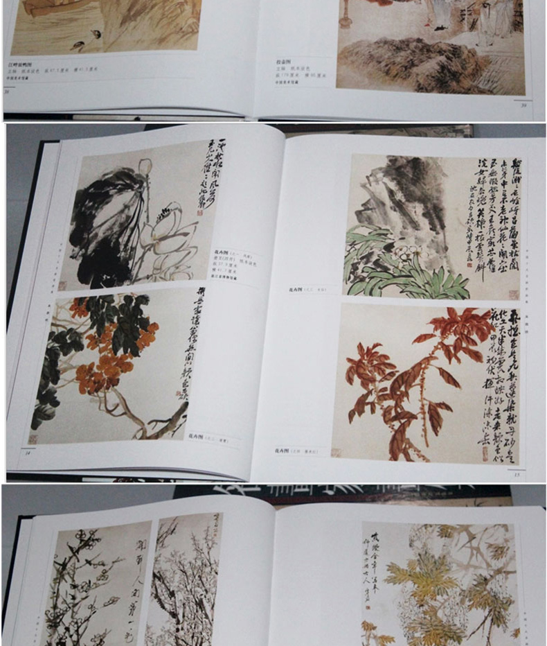 中国十大名画家画集全10册16开铜版纸彩印 沈周 唐伯