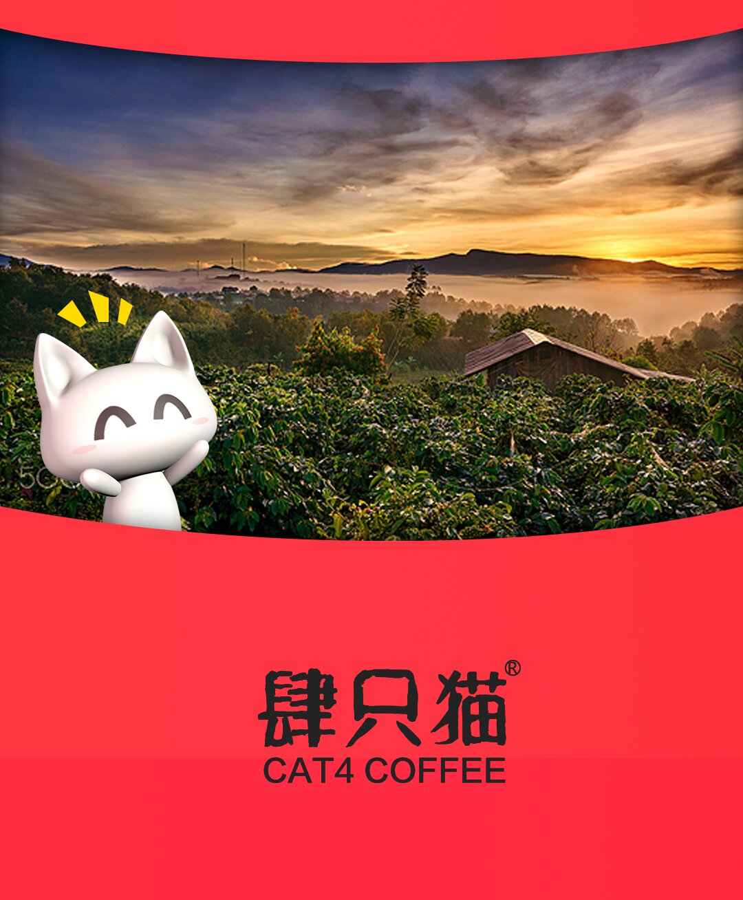 肆只猫咖啡豆/粉 肆四只猫纯黑咖啡速溶粉50袋盒装无蔗糖无奶云南小粒