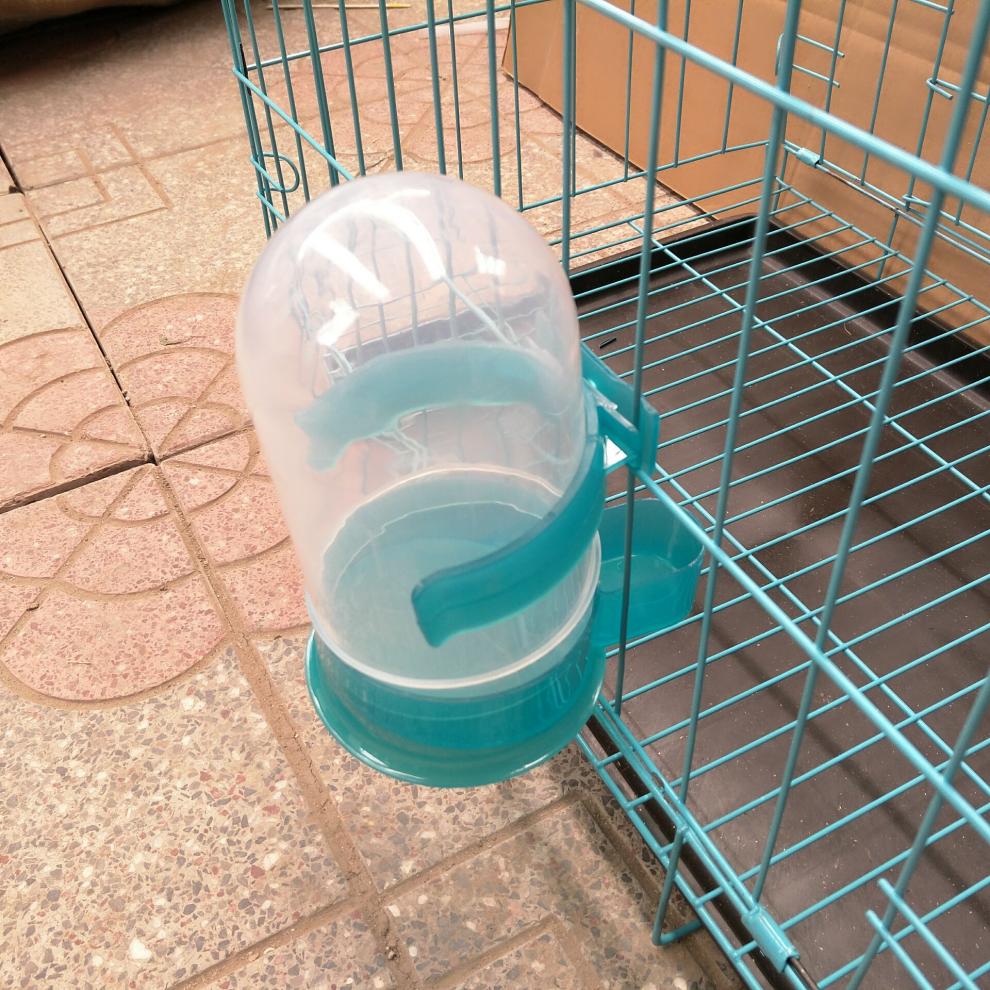 鴿子鸚鵡自動飲水器水壺米壺餵食器鳥類足環信鴿用品貓咪喝水