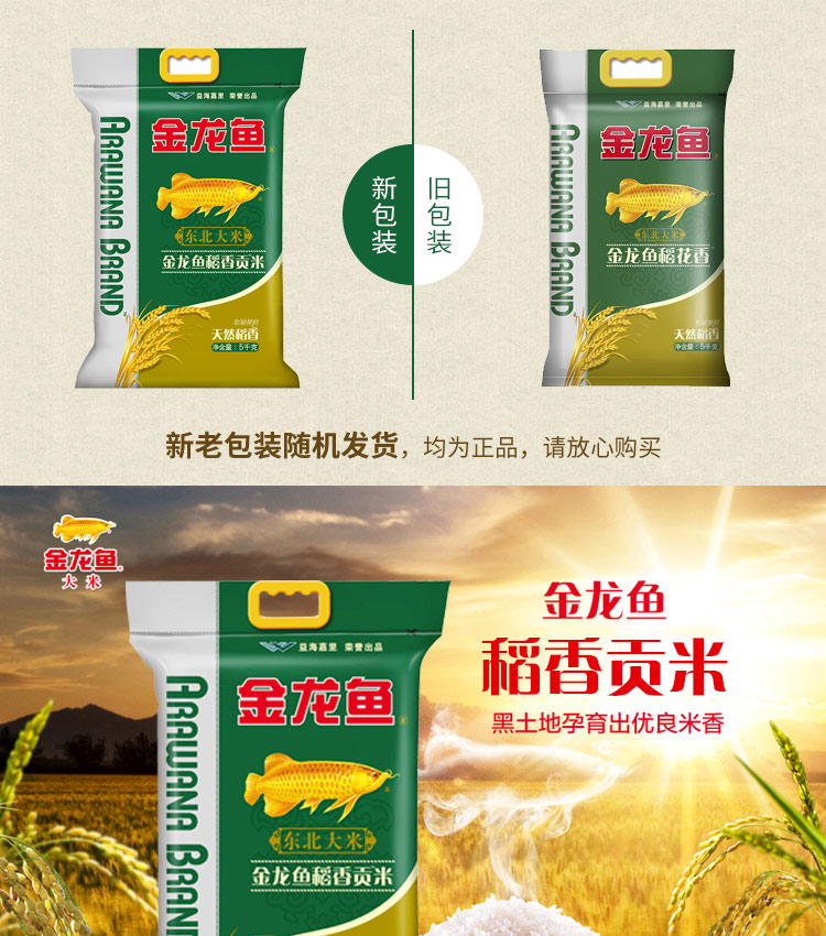 金龙鱼稻香贡米5kg