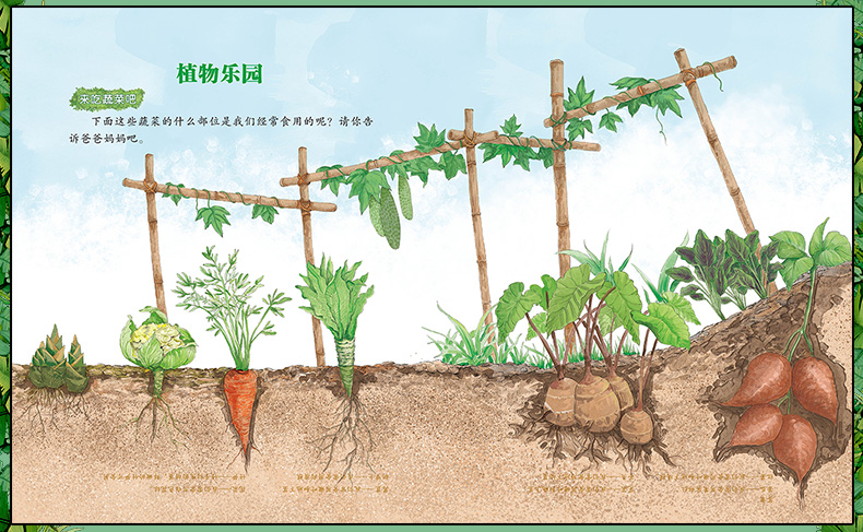 奇趣植物科普绘本全10册 幼儿童早教启蒙读物3-4-5-6周岁 科普百科