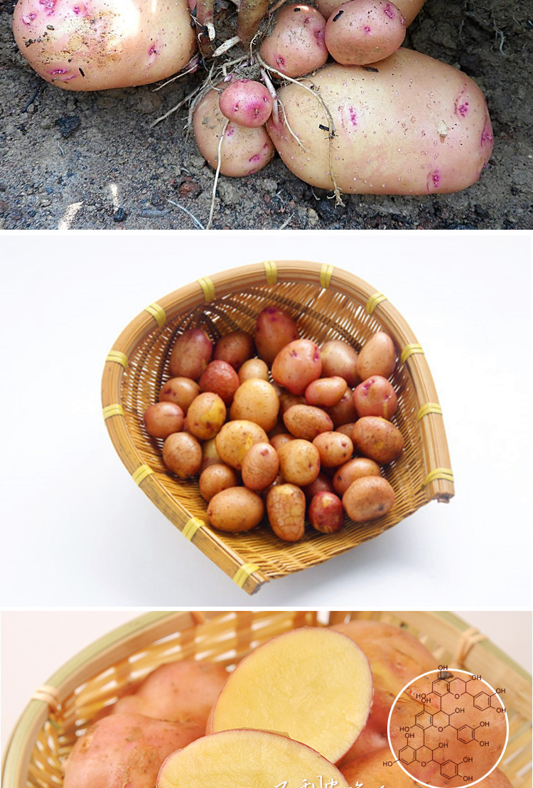 750_1108竖版 竖屏