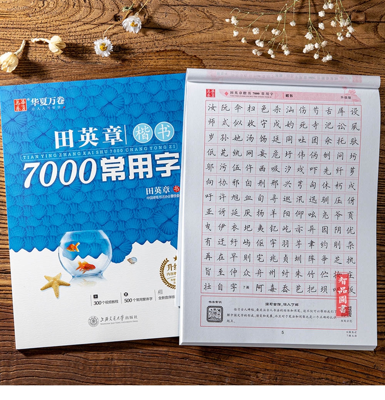 惠典正版 田英章书楷书钢笔字帖7000常用字 小学生钢笔字帖初学练字帖