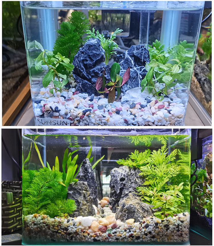 天然雨花石鱼缸底砂水族箱造景小石头装饰彩色石子五花石龟缸草缸