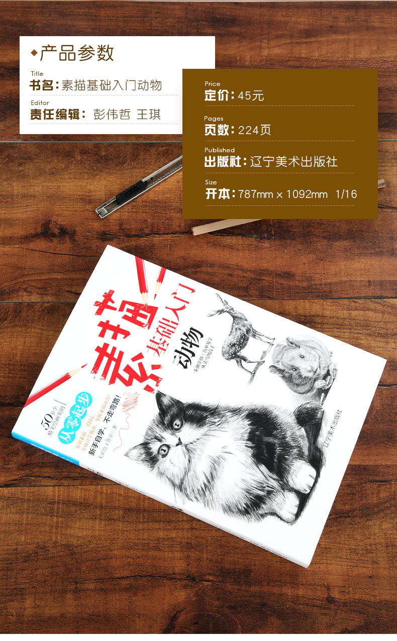 素描基礎入門動物貓狗等繪畫技法從零起步臨摹教程零基礎自學教材書籍